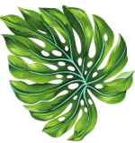 Historic Gardens of Britain